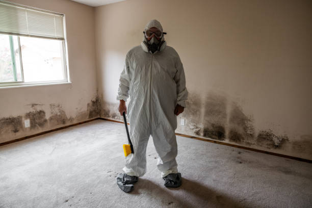 Best Professional Mold Removal  in Buena, NJ